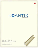 DANTIK frame 40 × 50, ALU profile 7001 gold glossy alternative glass clear - Photo Frame