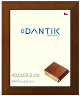 DANTIK frame 40 × 50, BRETA brown glass clear - Photo Frame