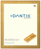 DANTIK frame 40 × 50, LYON gold glass clear - Photo Frame