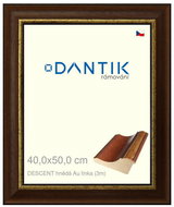 DANTIK frame 40 × 50, DESCENT brown Au line clear glass - Photo Frame