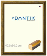 DANTIK frame 40 × 50, Forgia Gold glass clear - Photo Frame