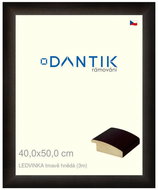 DANTIK frame 40 × 50, LEDVINKA dark brown glass clear - Photo Frame