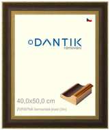 DANTIK frame 40 × 50, REVERSE black and gold plastic glass clear - Photo Frame