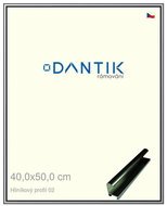 DANTIK frame 40 × 50, ALU profile 7002 Grey glossy glass clear - Photo Frame