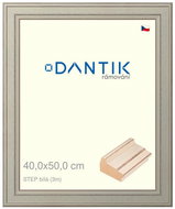 DANTIK frame 40 × 50, STEP white glass clear - Photo Frame