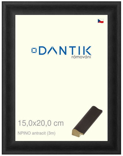 DANTIK frame 15 × 20, NPINO anthracite glass clear - Photo Frame - Main image