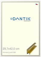 DANTIK frame 29,7 × 42, ALU profile 7269 Gold glossy plexi clear - Photo Frame