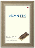 DANTIK frame 20 × 30, LYON silver glass clear - Photo Frame