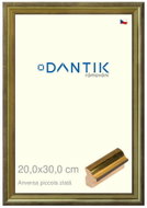 DANTIK frame 20 × 30, ANIVERSA piccola gold glass clear - Photo Frame