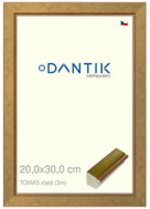 DANTIK frame 20 × 30, TOMAS gold glass clear - Photo Frame