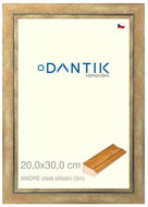 DANTIK frame 20 × 30, ANDRE gold medium glass clear - Photo Frame