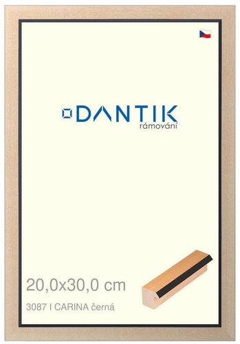DANTIK frame 20 × 30, CARINA black glass clear - Photo Frame - Main image