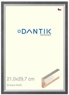 DANTIK frame 21 × 29,7, EVOQUE grey glass clear - Photo Frame