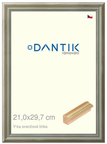 DANTIK frame 21 × 29,7, Y-ka orange line glass clear - Photo Frame - Main image