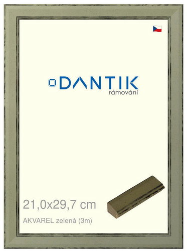 DANTIK rámeček 21 × 29,7, AKVAREL zelený sklo čiré - Fotorámeček - Hlavní obrázek
