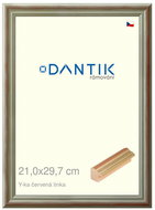 DANTIK frame 21 × 29,7, Y-ka red line glass clear - Photo Frame