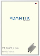 DANTIK frame 21 × 29,7, ALU profile 6030 Silver matt glass clear - Photo Frame