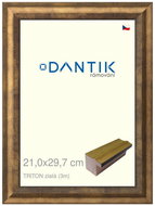 DANTIK frame 21 × 29,7, TRITON gold glass clear - Photo Frame