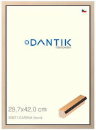 DANTIK frame 29,7 × 42, CARINA black plexi clear - Photo Frame