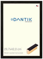 DANTIK frame 29,7 × 42, Metalli oidati black and gold plexi clear - Photo Frame