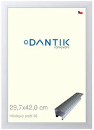 DANTIK frame 29,7 × 42, ALU profile 7005 Silver matt plexi clear - Photo Frame