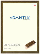DANTIK frame 29,7 × 42, Mosa gold plexi clear - Photo Frame