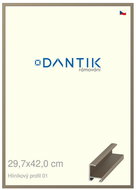 DANTIK frame 29,7 × 42, ALU profile 6001 champagne plexi clear - Photo Frame
