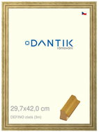 DANTIK frame 29,7 × 42, DELFINO gold plexi clear - Photo Frame