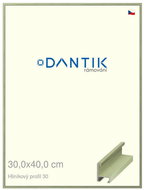 DANTIK frame 30 × 40, ALU profile 6030 veneer coloured green pastel plexi clear - Photo Frame