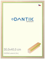 DANTIK frame 30 × 40, CARINA green plexi clear - Photo Frame