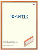 DANTIK frame 30 × 40, EVOQUE orange plexi clear - Photo Frame