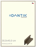 DANTIK frame 30 × 40, ALU profile 6030 champagne plexi clear - Photo Frame