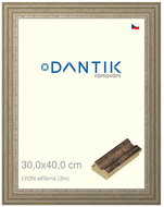 DANTIK frame 30 × 40, LYON silver plexi clear - Photo Frame