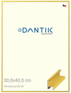 DANTIK frame 30 × 40, ALU profile 6030 veneer coloured yellow citrus plexi clear - Photo Frame