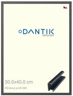DANTIK frame 30 × 40, ALU profile 7269 Grey Oplal brushed plexi clear - Photo Frame
