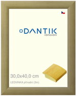 DANTIK frame 30 × 40, LEDVINKA natural plexi clear - Photo Frame