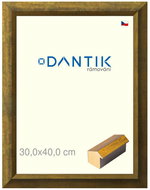 DANTIK frame 30 × 40, Forgia Gold plexi clear - Photo Frame