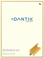 DANTIK frame 30 × 40, ALU profile 6030 veneer coloured yellow plexi clear - Photo Frame