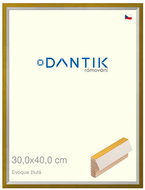 DANTIK frame 30 × 40, EVOQUE yellow plexi clear - Photo Frame