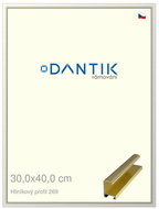 DANTIK frame 30 × 40, ALU profile 7269 Gold glossy plexi clear - Photo Frame