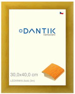 DANTIK frame 30 × 40, LEDVINKA yellow plexi clear - Photo Frame