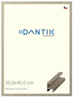 DANTIK frame 30 × 40, ALU profile 6220 champagne plexi clear - Photo Frame