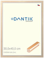 DANTIK frame 30 × 40, CARINA White plexi clear - Photo Frame