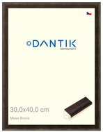 DANTIK frame 30 × 40, Mosa bronze plexi clear - Photo Frame