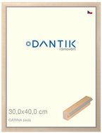 DANTIK frame 30 × 40, CARINA grey plexi clear - Photo Frame