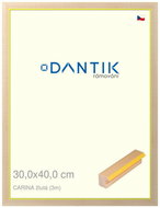 DANTIK frame 30 × 40, CARINA yellow plexi clear - Photo Frame