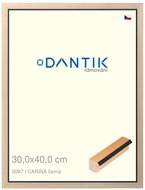 DANTIK frame 30 × 40, CARINA black plexi clear - Photo Frame