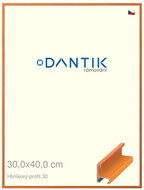 DANTIK frame 30 × 40, ALU profile 6030 veneer coloured orange plexi clear - Photo Frame