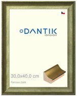 DANTIK frame 30 × 40, Ferrosa gold plexi clear - Photo Frame