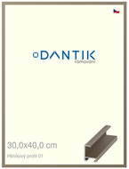 DANTIK frame 30 × 40, ALU profile 6001 champagne plexi clear - Photo Frame